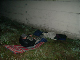 Bild 095
